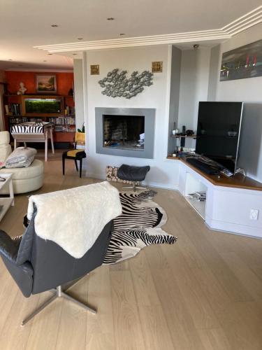 uma sala de estar com um tapete de zebra no chão em Maison Blanche em Coudeville
