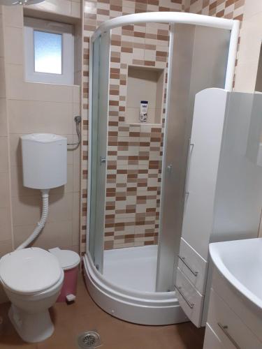 a bathroom with a shower with a toilet and a sink at Zanovetak in Sombor