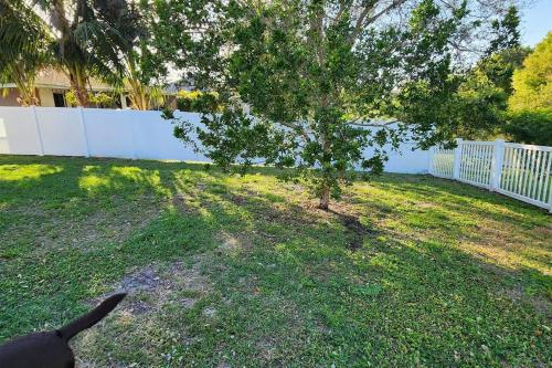 a dog standing next to a tree in a yard at Canal Park Paradise in Port Saint Lucie