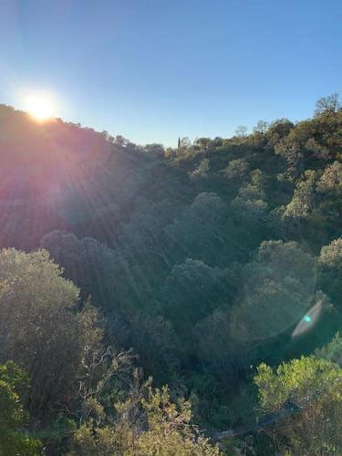 une vue sur une forêt avec le soleil brillant sur elle dans l'établissement Maison dans les hauteurs de valcros, à La Londe-les-Maures