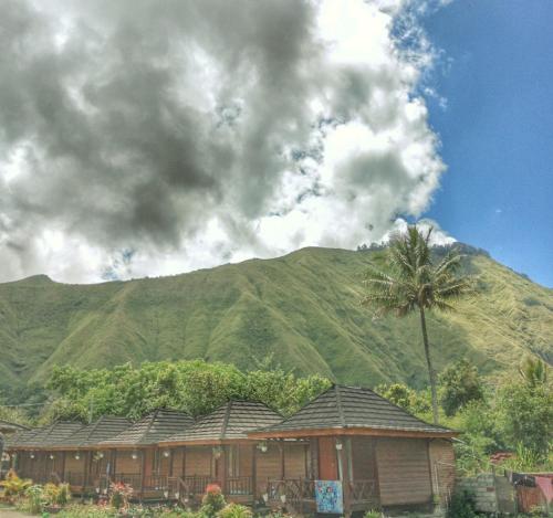 a house with a palm tree in front of a mountain at Puncak Rinjani Lodge in Sembalun Lawang