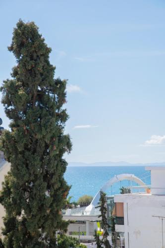 a large pine tree on the beach near the ocean at Celia Residence in Athens