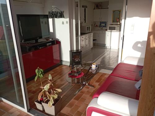 - un salon avec un canapé rouge et une télévision dans l'établissement Charmant T 2, vue mer imprenable, à La Seyne-sur-Mer