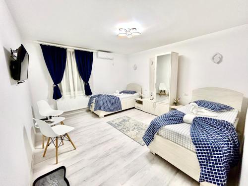 a bedroom with two beds and a desk at Casa Munteanu in Mila Douăzeci şi Trei
