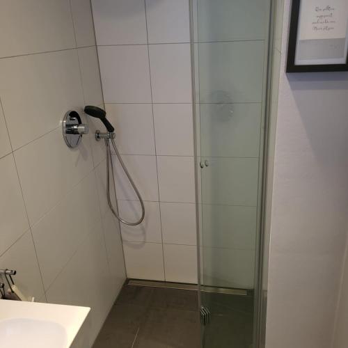 a shower in a bathroom with a glass door at Nurdachhaus Zeltdachhaus Damp in Damp