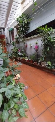 una stanza piena di piante di BiBon a Ðoan Xá