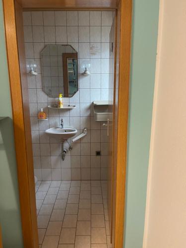 een badkamer met een douche, een wastafel en een spiegel bij Chambre avec 2 lits in Trier