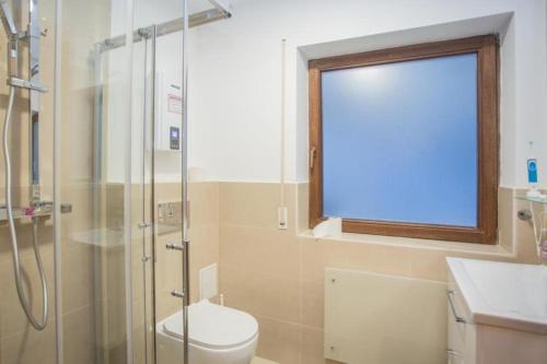 a bathroom with a shower and a toilet and a window at Tal Blick 3-Zimmer Nordenau/ Winterberg in Schmallenberg