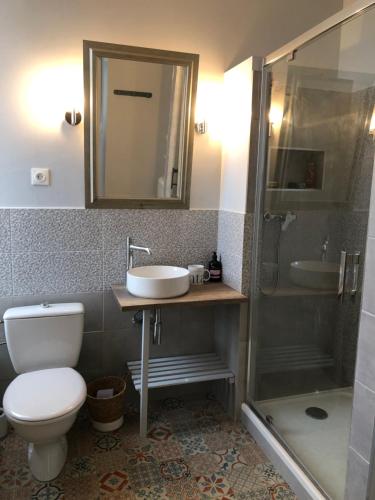 a bathroom with a toilet and a sink and a shower at l'appart de la Maison du Hommeel in Gratot