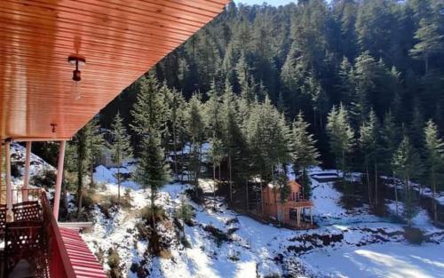 an aerial view of a snow covered yard with trees at Junga Retreat and Tree House by StayApart in Chail