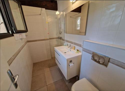 une salle de bain avec toilettes, lavabo et douche dans l'établissement Petit nid douillet à deux pas de Santa Giulia, à Porto-Vecchio