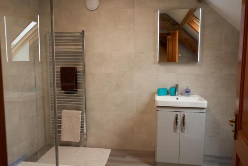 a bathroom with a sink and a shower at Cnwc Y Boidy Llangrannog in Llangranog