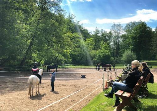 eine Gruppe von Menschen und ein Kind, das auf einem Pferd reitet in der Unterkunft Reiterpension Marlie in Scharbeutz