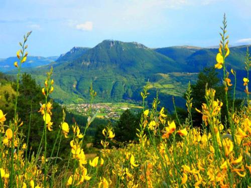 un campo de flores amarillas en una colina con montañas en Joli petit appartement à Ispagnac, en Ispagnac