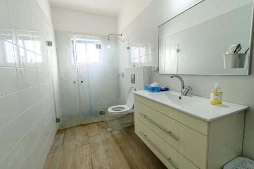 OvnatにあるMagnificent dead-sea viewのトイレと洗面台を備えた白いバスルーム
