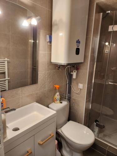 une salle de bain avec toilettes, lavabo et douche dans l'établissement Le cap d'agde, au Cap d'Agde