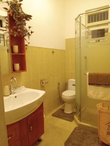 uma casa de banho com um lavatório, um WC e um chuveiro em The Grove em Maharagama