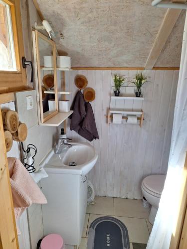 a small bathroom with a toilet and a sink at InGreen house in Bohinjska Bela