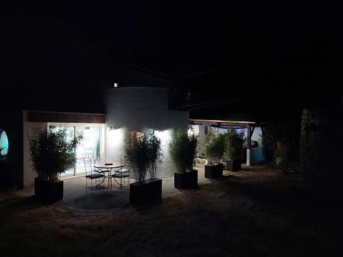 um quarto escuro com uma mesa e vasos de plantas à noite em «Gîte H2O SPA» à Précy-sur-Oise. em Précy-sur-Oise