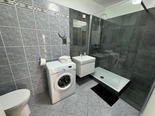 a bathroom with a toilet and a washing machine at Kutna Hora perfect apartment in Kutná Hora