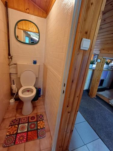 mała łazienka z toaletą i lustrem w obiekcie Mieszkanie prywatne 130m w mieście Tuszyn