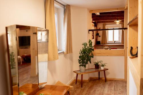 a room with a table and a potted plant at Ferienwohnung Landscapeapartment, 46qm Individual Fewo mit Fernblick ins Zittauer Gebirge, Ferienapartment im historischen Altstadtkern Zittau in Zittau