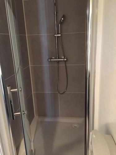 une douche avec une porte vitrée à côté des toilettes dans l'établissement Maison de campagne, à Le Baizil