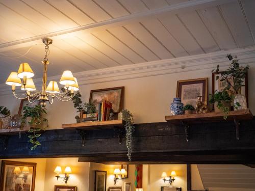 a room with two shelves with books and plants at The Jolly Drover in Liss