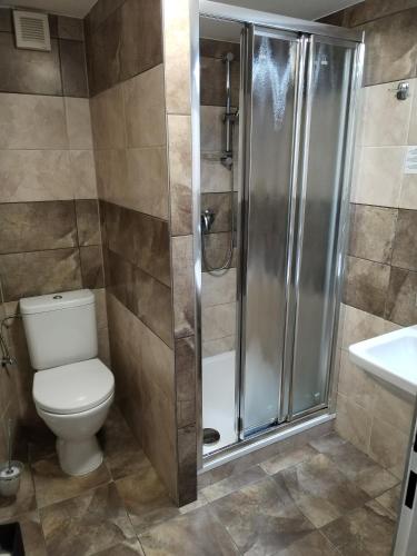 a bathroom with a toilet and a shower at Hotel Na Baste in Jablonec nad Nisou