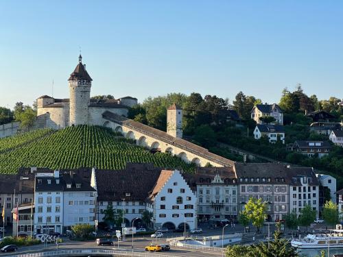 a town with a building with a tower with vines at MARYS family friendly Apartments,VISIT RHINE FALLS for FREE if you stay 2 nights, SOHO 95m2 2-Bedrooms 2nd floor & SOUTH BEACH 105m2 3-Bedrooms & LOFT 115m2 3-Bedrooms Suite with Galerie,LOFT Netz 20m2, Pinball, Schaffhausen-Hemmental, Rheinfall 10 km in Schaffhausen