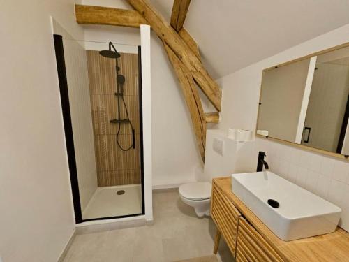 a bathroom with a sink and a shower and a toilet at Magnifique propriété en pierre in Sceaux-du-Gâtinais