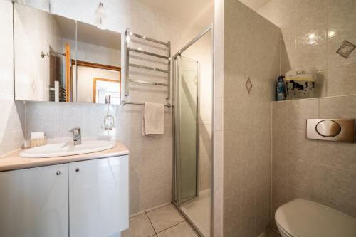 a bathroom with a shower and a sink and a toilet at Le Torrent des Lys in Samoëns