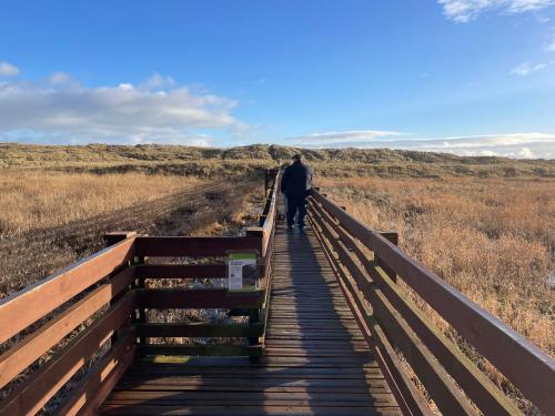 a man walking down a wooden boardwalk at 6 Rannoch, lovely holiday static caravan for dogs & their owners. in Forfar