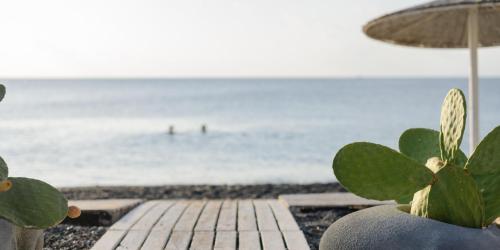 a potted plant sitting on a beach with the ocean at Afroditi Venus Beach Resort in Kamari