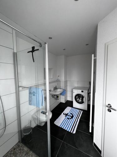 a small bathroom with a sink and a washing machine at Moderne Wohnung mit Ausblick in Niedernhall