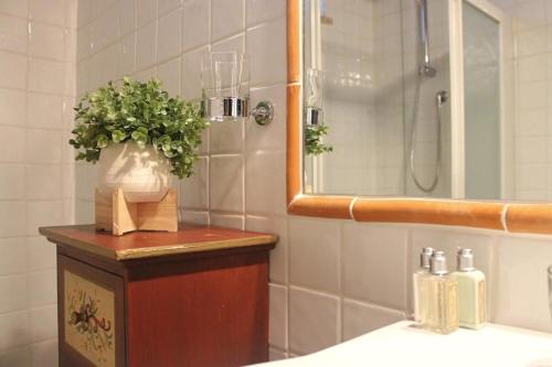 łazienka z umywalką i prysznicem z rośliną w obiekcie La Casa di LucaPietro Dimora Storica w mieście Spoleto