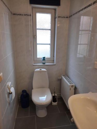 a bathroom with a toilet and a sink and a window at Ferienhaus-Landliebe-Wohnung-9048-2 in Dänschendorf