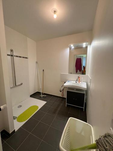 ein Bad mit einem Waschbecken und einer Dusche in der Unterkunft Havre de paix in Noisy-le-Roi