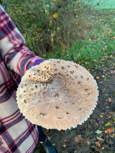 a person holding aporaporaporaporaporaporaporaporaporaporaporapora at Rosehill Cottage 1699 - Stilvolles Hideaway, Berge & See in Eisemroth