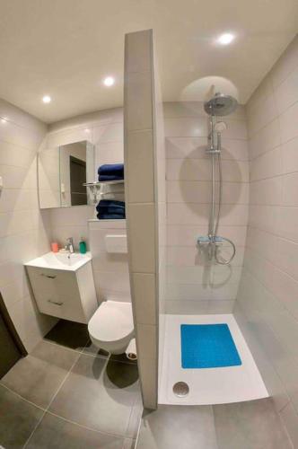 une salle de bain avec une douche, des toilettes et un lavabo dans l'établissement Antibes centre à 2 pas de la vieille ville, plages, à Antibes