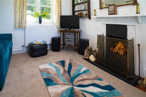 a living room with a fireplace and a tv at Garden Cottage Newcastle Emlyn in Newcastle Emlyn