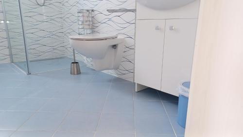 ein Bad mit einem WC und einer Glasdusche in der Unterkunft Ferienwohnung Mioritza in Kallmünz