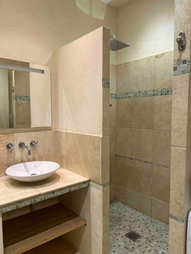 une salle de bain avec un lavabo et une douche dans l'établissement Chez Lucie, à Montpellier