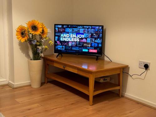 TV at/o entertainment center sa Meadow View- Perfect for Long Stays