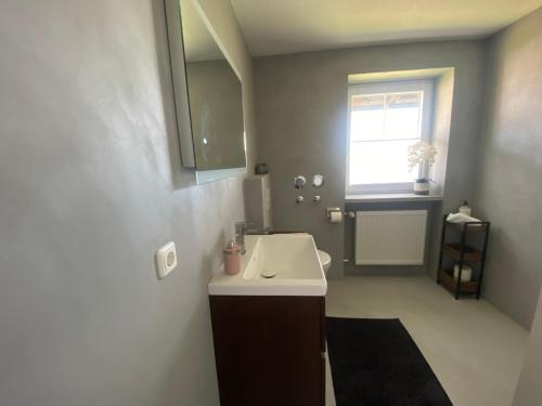 a bathroom with a white sink and a window at Ferienwohnung Heimatglück 2-3 Personen 65qm WLAN in Breitbrunn am Chiemsee