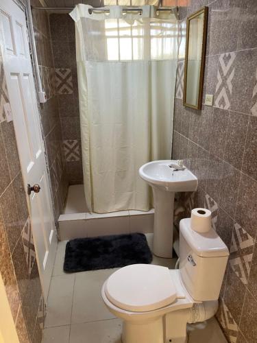 uma casa de banho com um WC, um chuveiro e um lavatório. em Sheikh Apartment n Car rentals em Georgetown