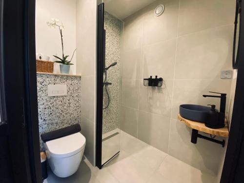 a bathroom with a shower and a toilet and a sink at IZBA BnB in Roubaix