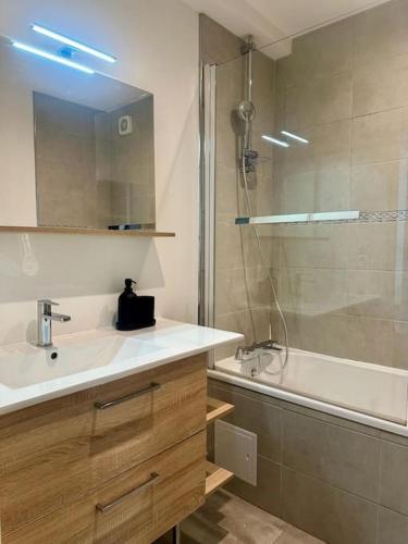 une salle de bain avec un lavabo, une douche et une baignoire dans l'établissement Le 41, à Dijon