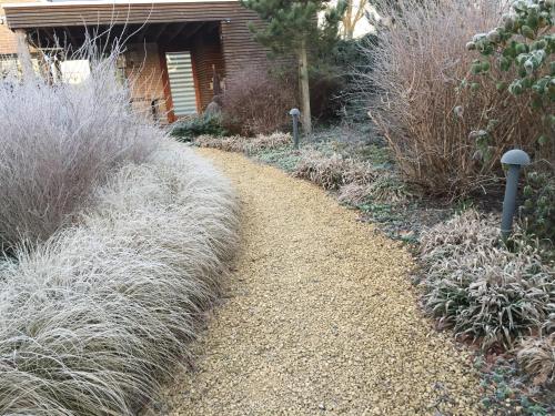 a garden with tall grass and a dirt path at La Couette de l'Ours in Aywaille