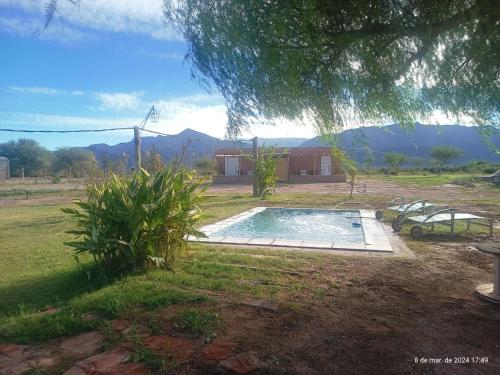 ein Pool in einem Hof mit einem Haus im Hintergrund in der Unterkunft EL Viejo Algarrobo Fiambala in El Puesto
